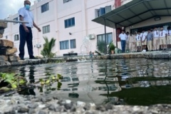 aquaponics-1